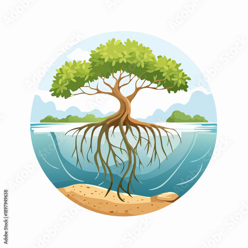 Mangrove Tree with Submerged Roots and Sandy Seabed