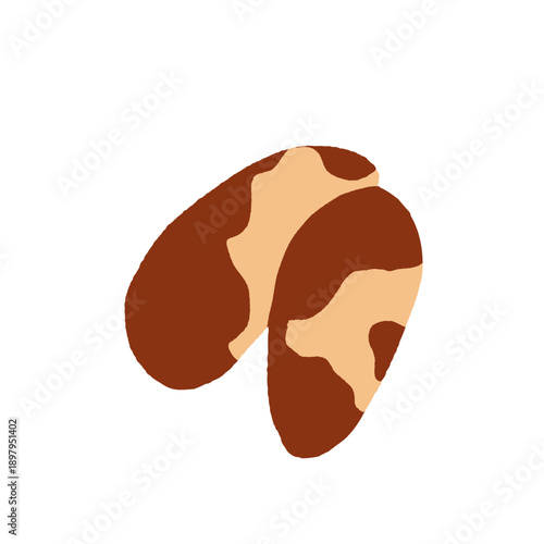 Collection of different nuts. Peanut, walnut, hazelnut, pistachio, almond and cashew. Concept of healthy food. Products for snack. Vector flat illustration.