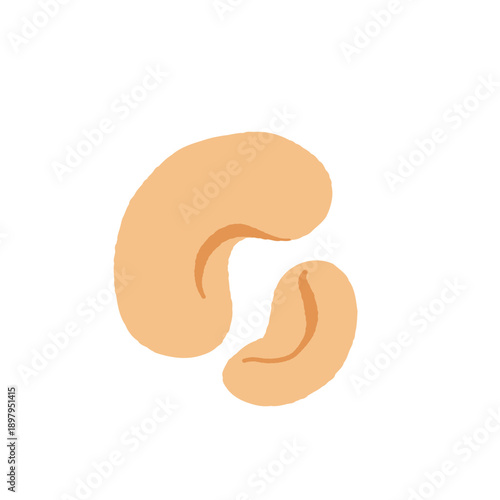 Collection of different nuts. Peanut, walnut, hazelnut, pistachio, almond and cashew. Concept of healthy food. Products for snack. Vector flat illustration.