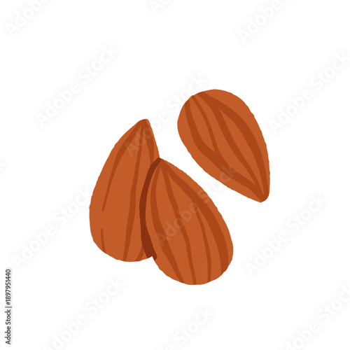 Collection of different nuts. Peanut, walnut, hazelnut, pistachio, almond and cashew. Concept of healthy food. Products for snack. Vector flat illustration.