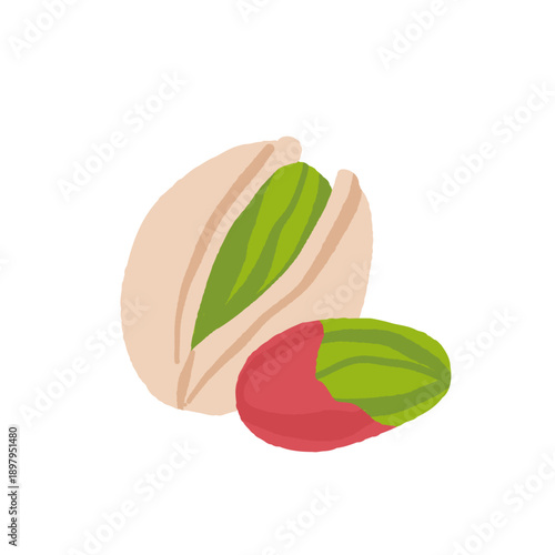 Collection of different nuts. Peanut, walnut, hazelnut, pistachio, almond and cashew. Concept of healthy food. Products for snack. Vector flat illustration.