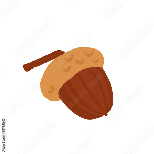 Collection of different nuts. Peanut, walnut, hazelnut, pistachio, almond and cashew. Concept of healthy food. Products for snack. Vector flat illustration.