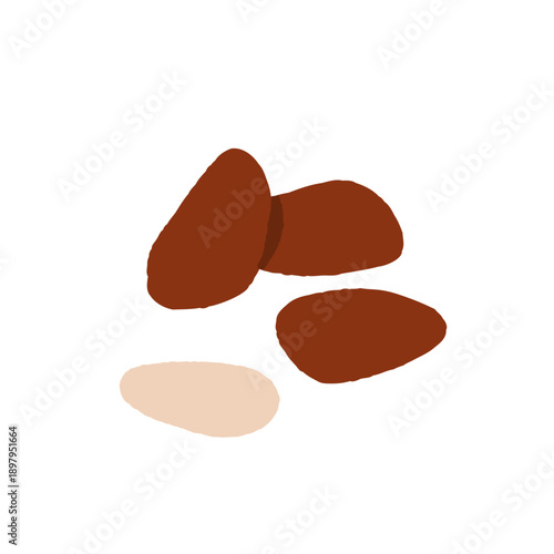 Collection of different nuts. Peanut, walnut, hazelnut, pistachio, almond and cashew. Concept of healthy food. Products for snack. Vector flat illustration.