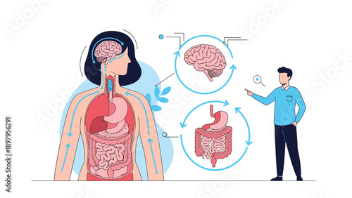 Medical professional explaining human internal organs and body systems including the brain, lungs, and intestines.