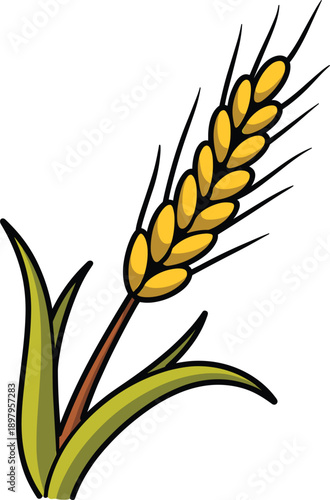 Single stalk of golden wheat with green leaves, cereal grain plant vector illustration for agriculture, bakery, and healthy food design. (20 words)