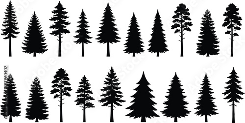 Silhouette set of 20 conifer tree icons with varied shapes and foliage for botanical, forestry, and nature design content