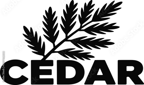 Black silhouette of cedar tree branch with leaves and cedar text