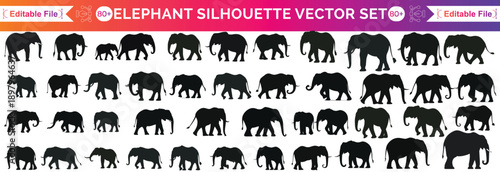set of elephant silhouettes. Elephant shadow hand drawn. Flat vector illustration.