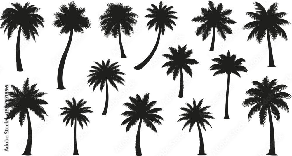 Naklejka premium Palm tree silhouette collection, tropical beach icons, exotic botanical shapes, summer vacation design elements, nature inspired decorative artwork, flat vector illustration