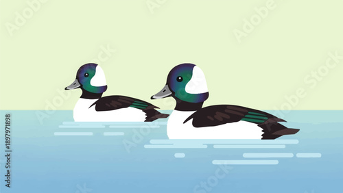 Two stylized ducks swim on calm blue water under a pale sky
