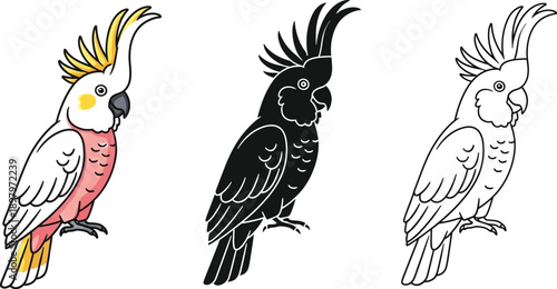 Collection of stylized cockatoo parrot illustrations showcasing color silhouette and outline versions ideal for graphic design projects