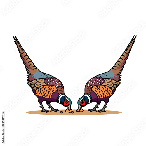 Two colorful pheasants eating