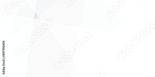 Abstract background with white and gray and geometric style with simple lines and corners, polygons as background geometric style with simple lines and corners, polygons as background paper texture