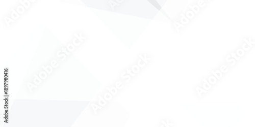 Abstract background with white and gray and geometric style with simple lines and corners, polygons as background geometric style with simple lines and corners, polygons as background paper texture