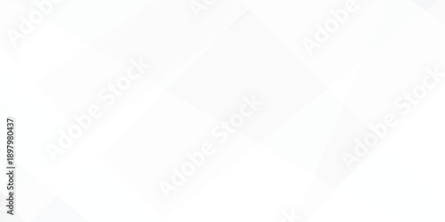 Abstract background with white and gray and geometric style with simple lines and corners, polygons as background geometric style with simple lines and corners, polygons as background paper texture