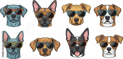 Group of eight dog heads wearing sunglasses in various breeds and colors dogs canine