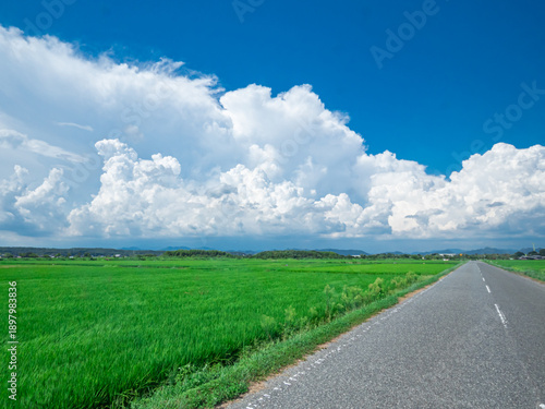 田舎の夏と入道雲