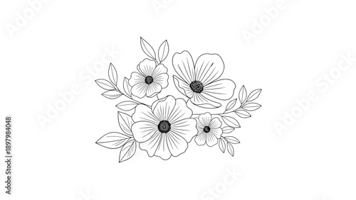 Beautiful black and white botanical sketch featuring a variety of different flowers and leaves in a detailed hand drawn ink style.