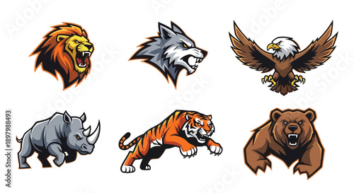 A set of wild vector animals featuring a cartoon tiger cub illustration with striped orange fur, a big feline head, and cute nature design elements for a safari zoo wildlife symbol