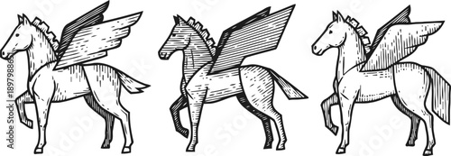 hand drawn winged horses set mythical flying pegasus, vintage fantasy creatures with feathered wings in different poses