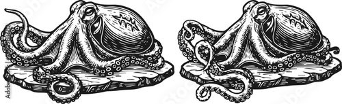 Two detailed black and white octopus illustrations with textured skin and curled tentacles