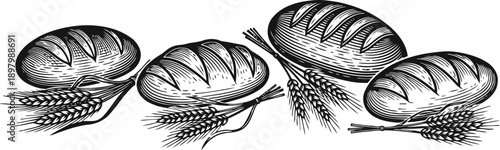 hand drawn vintage bread loaves with wheat stalks, rustic bakery and organic grain illustration