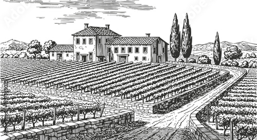 Rustic vineyard estate with farmhouse and rows of grapevines in countryside landscape