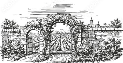Rustic vineyard entrance with stone archways and lush grapevines in countryside landscape
