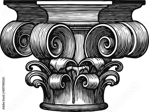 Classical corinthian column capital with ornate acanthus leaves and volutes in black and white engraving