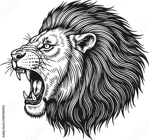Roaring lion head illustration with detailed mane and fierce expression in black and white