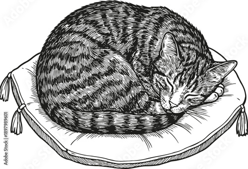Sleeping tabby cat curled up on a soft cushion pillow, cozy pet resting peacefully, black and white illustration