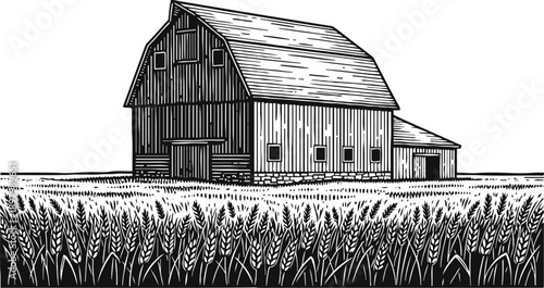 Rustic wooden barn with wheat field agricultural farm building with crops in rural landscape