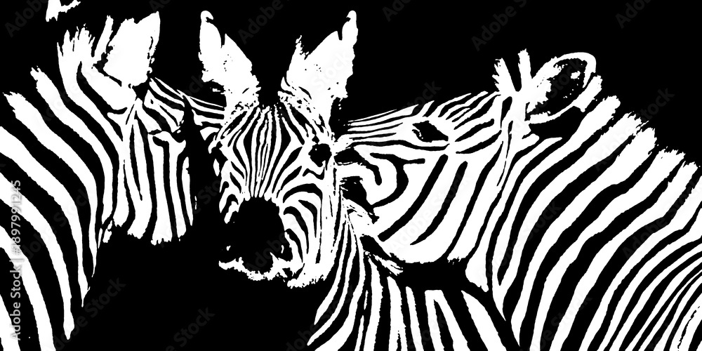 Obraz premium Close up of Zebras monochrome mixed media