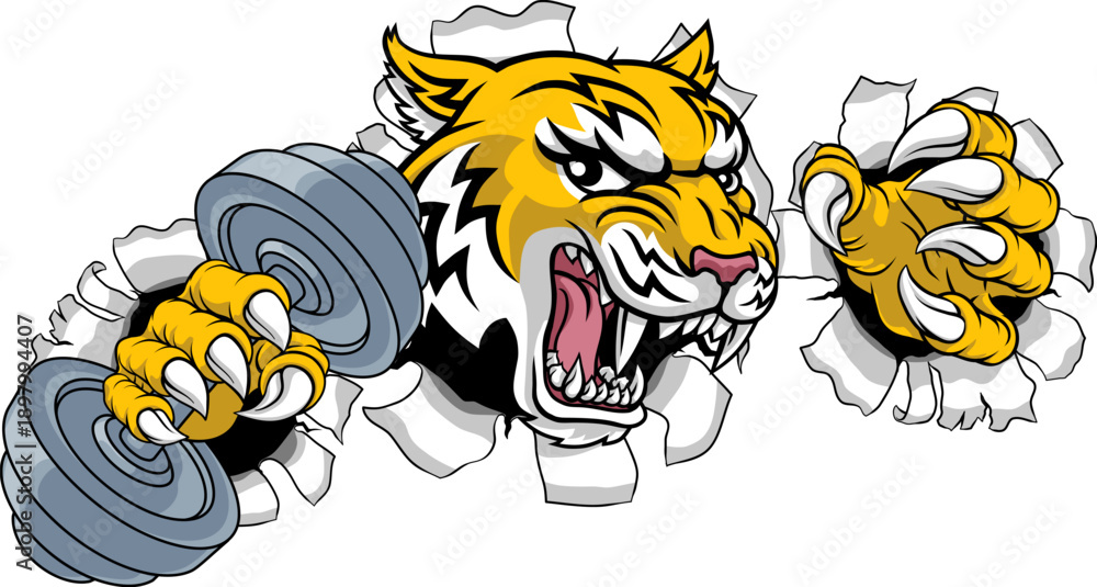 Fototapeta premium A wildcat or bobcat lynx bobcats wildcats sports team gym weight lifting dumbbell mascot