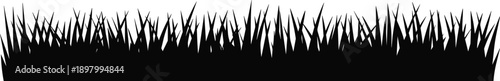 Grass silhouette border with dense lawn blades isolated on white background for nature backgrounds, landscape design elements, and minimalist vector concepts