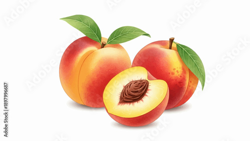 Watercolor-style peaches with leaves, one sliced revealing a pit