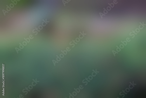 Wallpaper Mural gradient blurred background soft nature backdrop Torontodigital.ca