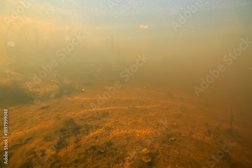 Bild auf Leinwand dirty muddy water underwater photo, yellow water, sunlight underwater, swamp or