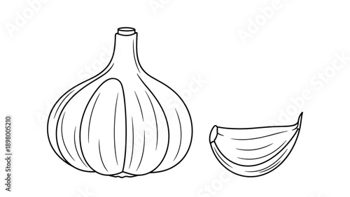 Garlic bulb and a single clove are depicted in a minimalist black and white line art style, showcasing essential ingredients.