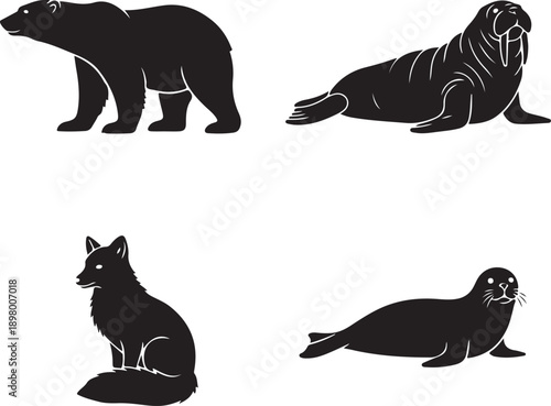 arctic animals polar bear seal walrus fox