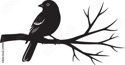 Bird on branch silhouette