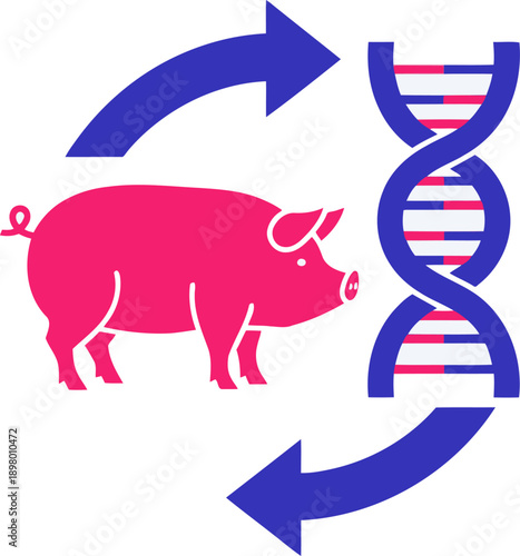 A stylized pig icon intertwined with a DNA strand, representing swine genetics and breeding technology. Bold colors and a circular design create a modern, impactful visual.