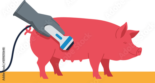 A veterinarian performs an ultrasound on a pink pig. Clear, detailed image for vet diagnostics. Professional veterinary care illustration.