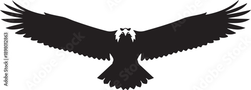 Eagle flying silhouette