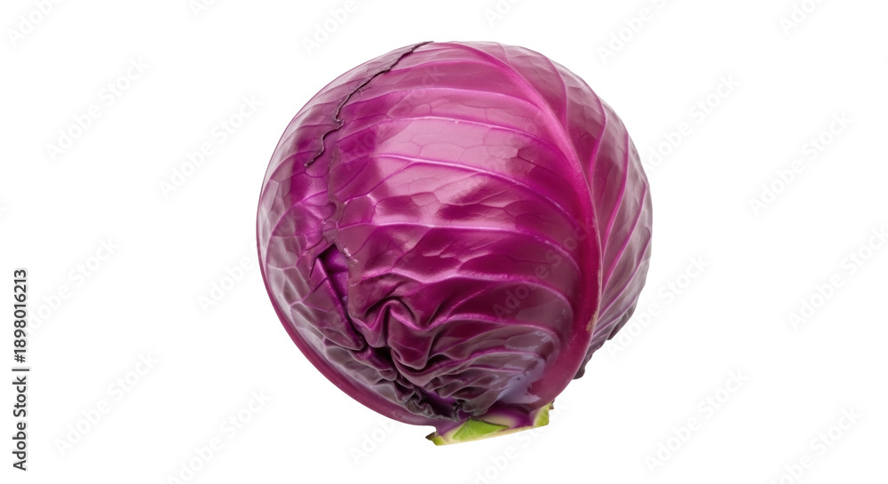 Obraz premium Vibrant purple cabbage isolated PNG on transparent background, fresh whole vegetable for healthy eating and vegetarian recipes