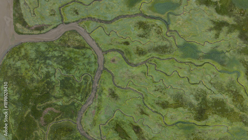 Foto Aerial view of marshland with winding tidal channels