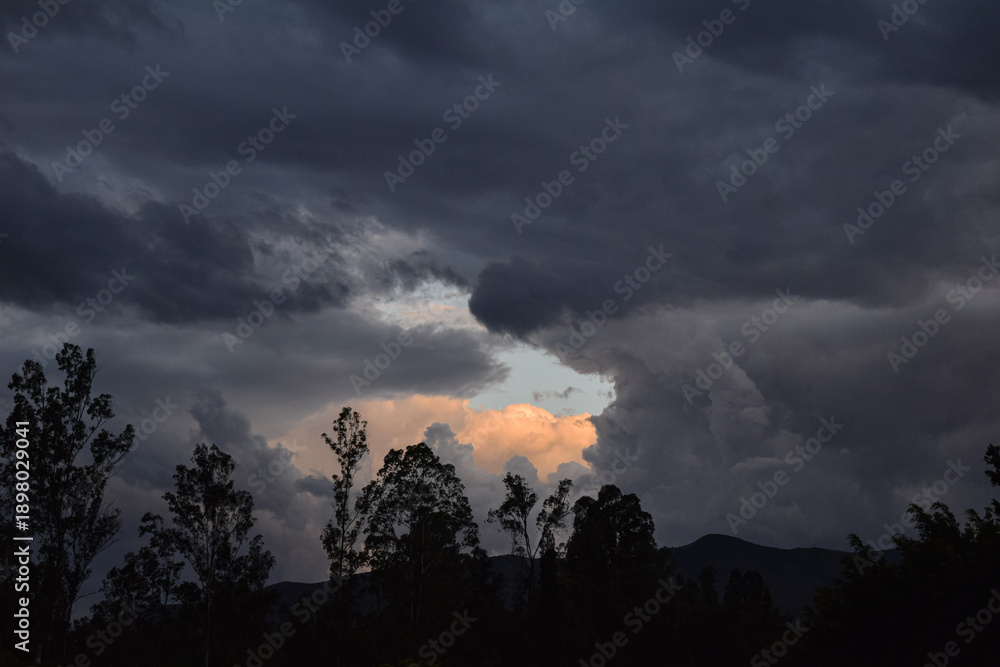 Obraz premium View of forest against cloudy sky, during sunset, Mexico