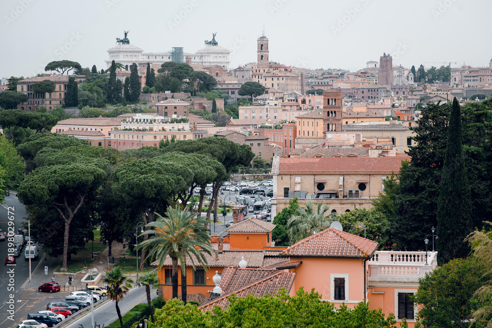 Fototapeta premium Rome Cityscape with Historic Buildings
