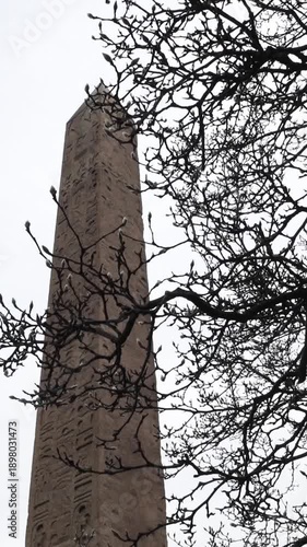 tall egyptian obelisk with heiroglyphics in central park manhattan new york city (historic antique monument from ancient egypt) art history relic thousands years old museum mile metropolitan