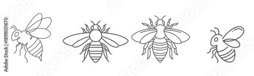 Hand Drawn Bee Line Icon Set Isolated on White Background